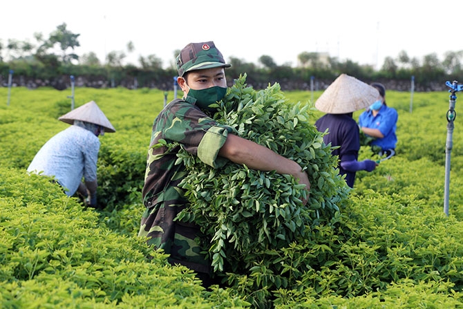 Quand les soldats aident les paysans à écouler leurs produits
